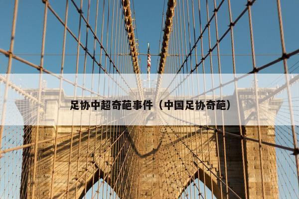 足协中超奇葩事件（中国足协奇葩）