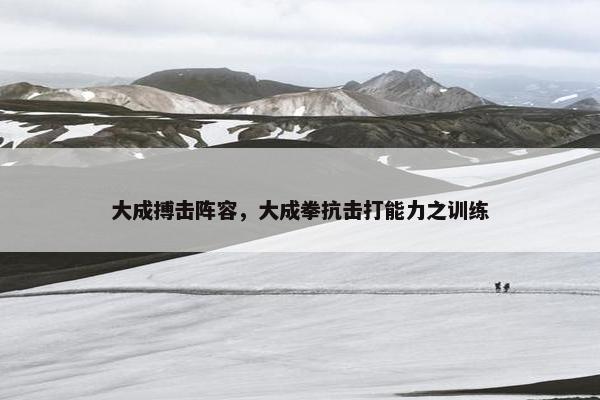 大成搏击阵容，大成拳抗击打能力之训练