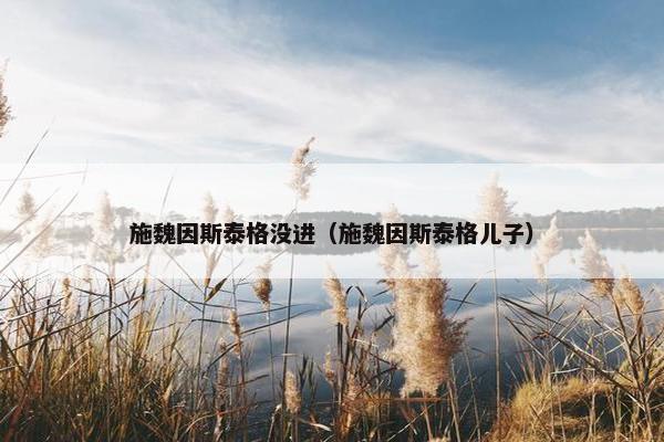 施魏因斯泰格没进（施魏因斯泰格儿子）
