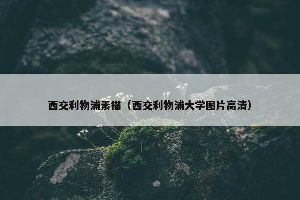西交利物浦素描（西交利物浦大学图片高清）