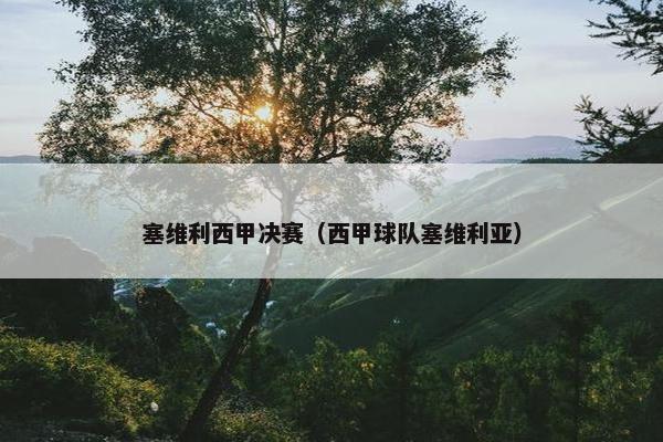 塞维利西甲决赛（西甲球队塞维利亚）