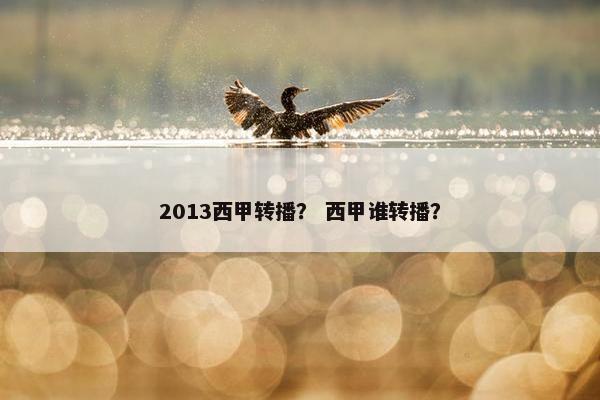 2013西甲转播？ 西甲谁转播？