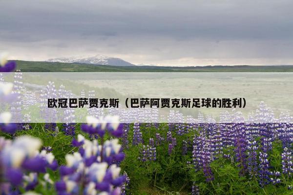 欧冠巴萨贾克斯（巴萨阿贾克斯足球的胜利）