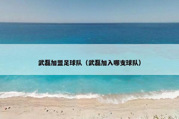 武磊加盟足球队（武磊加入哪支球队）