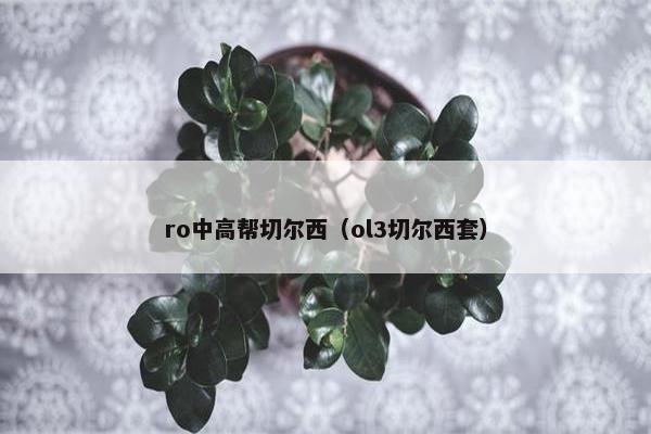 ro中高帮切尔西（ol3切尔西套）