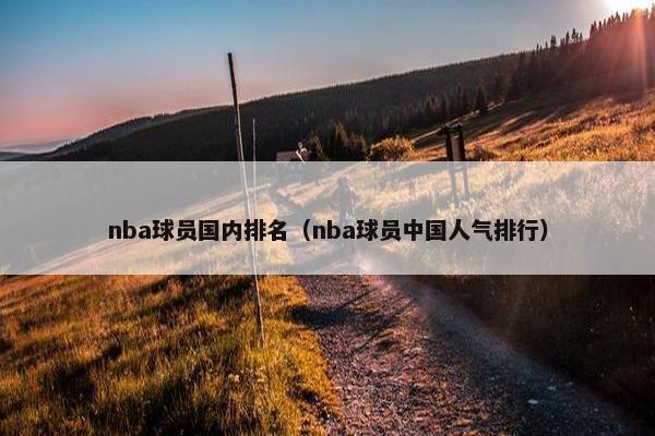 nba球员国内排名（nba球员中国人气排行）