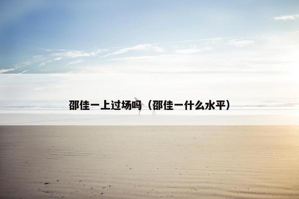 邵佳一上过场吗（邵佳一什么水平）