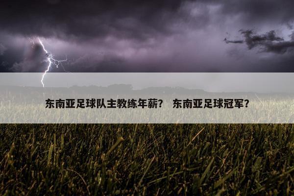 东南亚足球队主教练年薪？ 东南亚足球冠军？