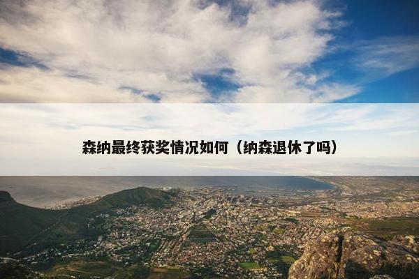 森纳最终获奖情况如何（纳森退休了吗）