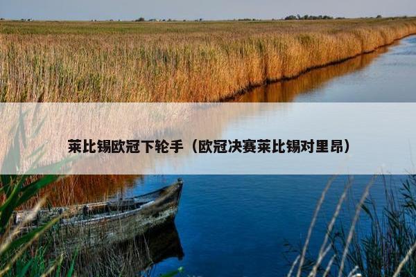 莱比锡欧冠下轮手（欧冠决赛莱比锡对里昂）