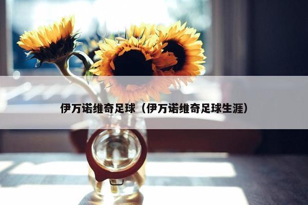 伊万诺维奇足球（伊万诺维奇足球生涯）
