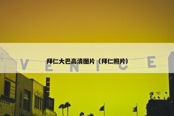 拜仁大巴高清图片（拜仁照片）
