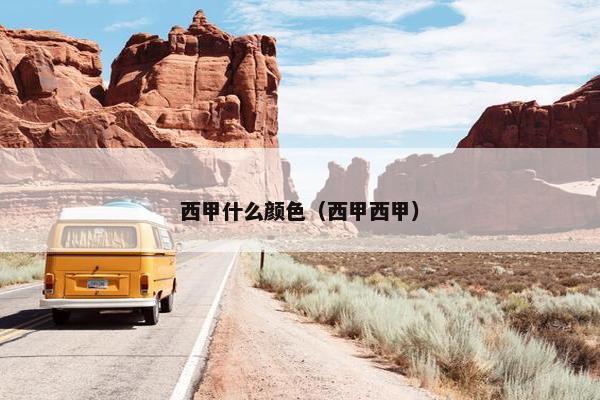 西甲什么颜色（西甲西甲）