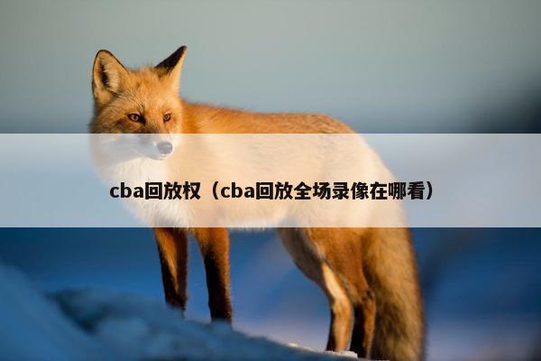cba回放权（cba回放全场录像在哪看）