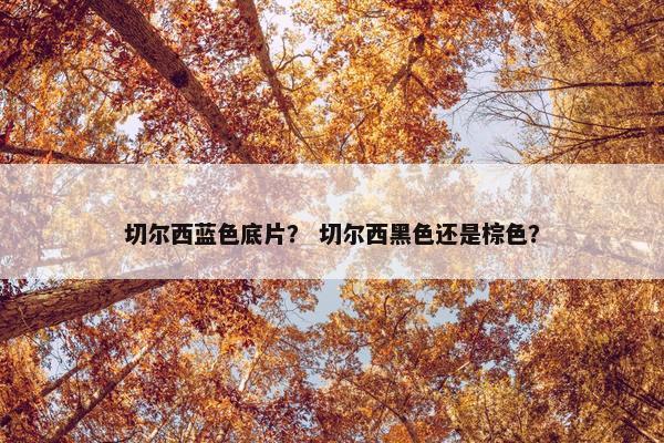 切尔西蓝色底片？ 切尔西黑色还是棕色？