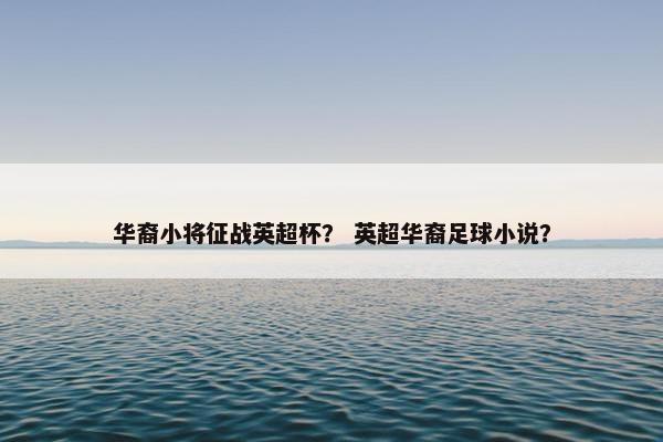 华裔小将征战英超杯？ 英超华裔足球小说？