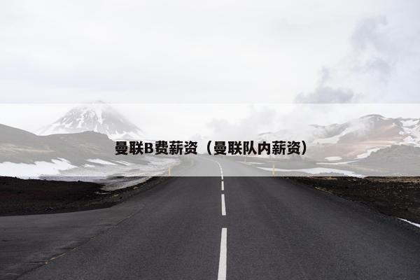 曼联B费薪资（曼联队内薪资）