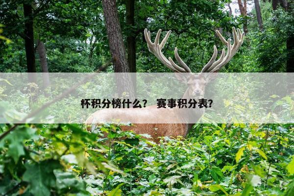 杯积分榜什么？ 赛事积分表？