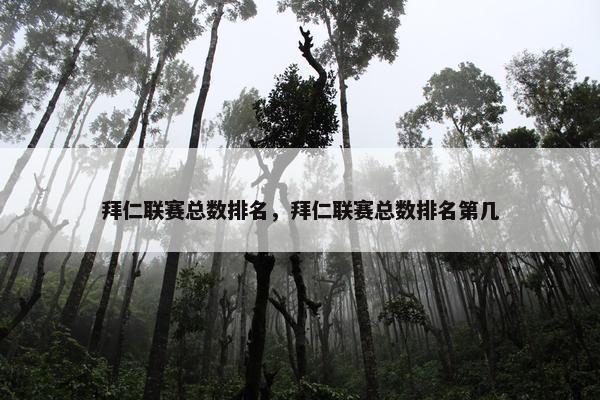 拜仁联赛总数排名，拜仁联赛总数排名第几