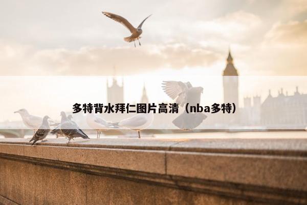 多特背水拜仁图片高清（nba多特）