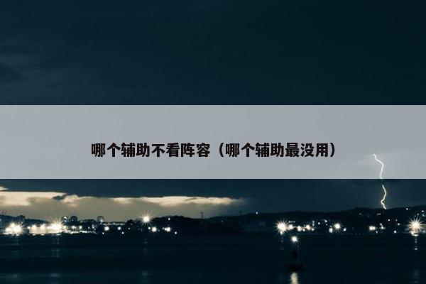 哪个辅助不看阵容（哪个辅助最没用）