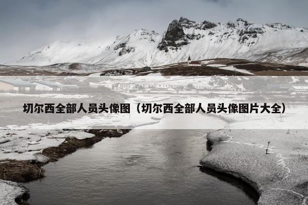 切尔西全部人员头像图（切尔西全部人员头像图片大全）