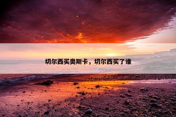 切尔西买奥斯卡，切尔西买了谁