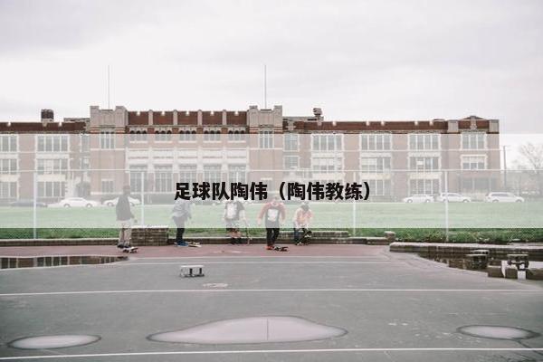 足球队陶伟（陶伟教练）