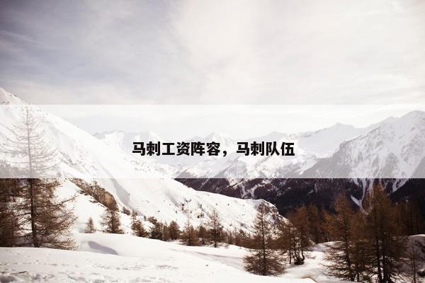 马刺工资阵容，马刺队伍