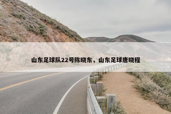 山东足球队22号陈晓东，山东足球唐晓程