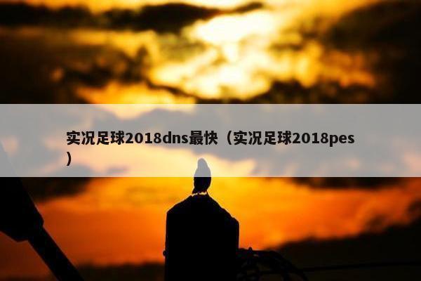 实况足球2018dns最快（实况足球2018pes）