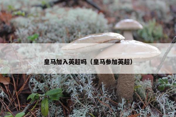 皇马加入英超吗（皇马参加英超）