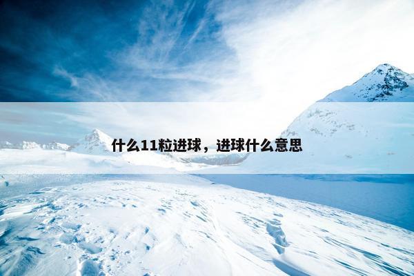 什么11粒进球，进球什么意思