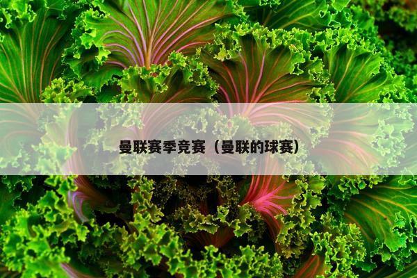 曼联赛季竞赛（曼联的球赛）