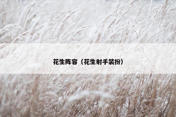 花生阵容（花生射手装扮）