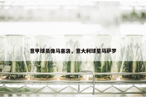 意甲球员像马塞洛，意大利球星马萨罗