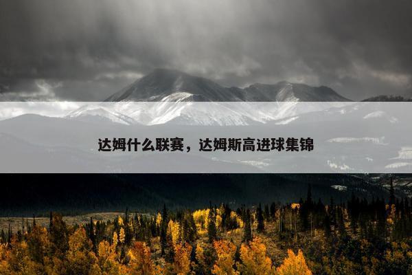 达姆什么联赛，达姆斯高进球集锦