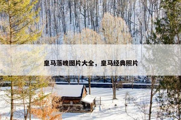 皇马落魄图片大全，皇马经典照片
