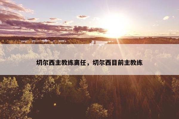 切尔西主教练离任，切尔西目前主教练