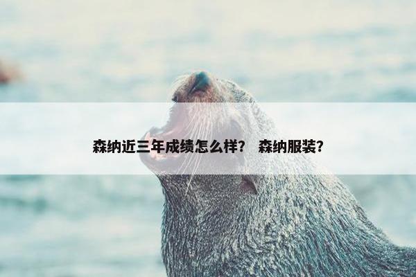 森纳近三年成绩怎么样？ 森纳服装？
