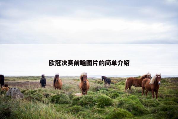 欧冠决赛前瞻图片的简单介绍