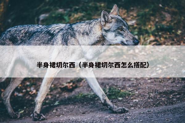 半身裙切尔西（半身裙切尔西怎么搭配）