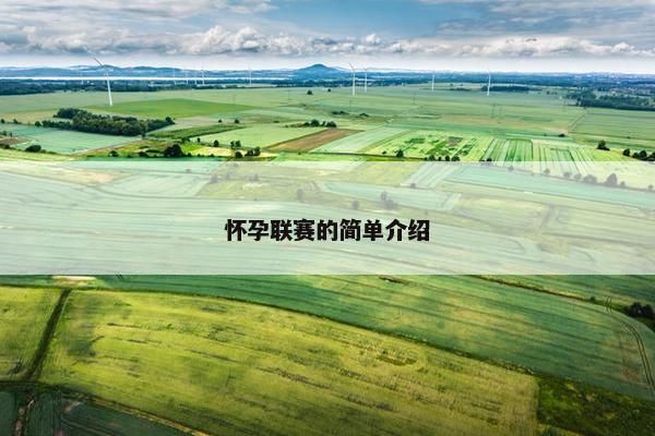 怀孕联赛的简单介绍