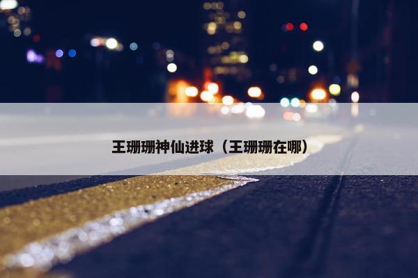 王珊珊神仙进球（王珊珊在哪）