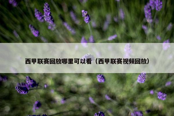西甲联赛回放哪里可以看（西甲联赛视频回放）
