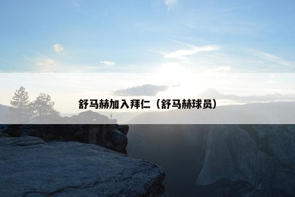 舒马赫加入拜仁（舒马赫球员）
