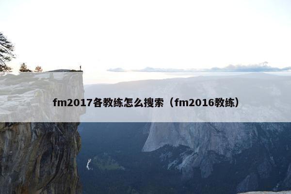 fm2017各教练怎么搜索（fm2016教练）