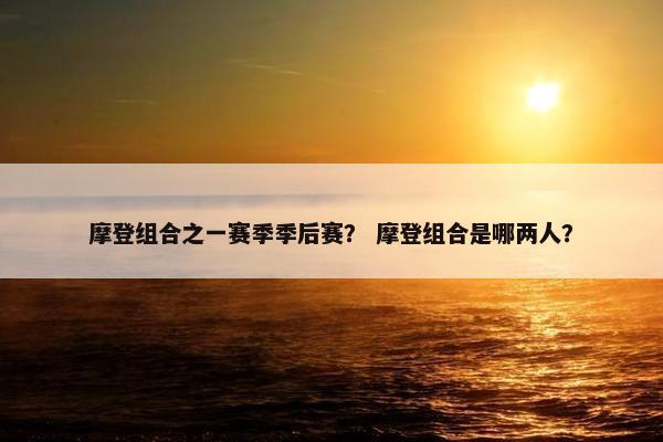 摩登组合之一赛季季后赛？ 摩登组合是哪两人？