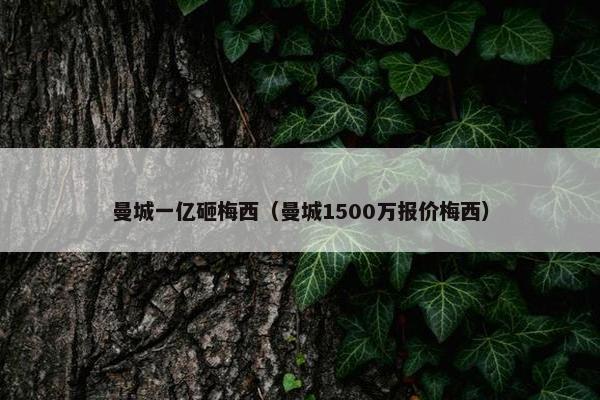 曼城一亿砸梅西（曼城1500万报价梅西）
