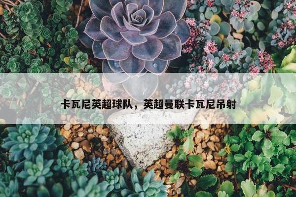 卡瓦尼英超球队，英超曼联卡瓦尼吊射